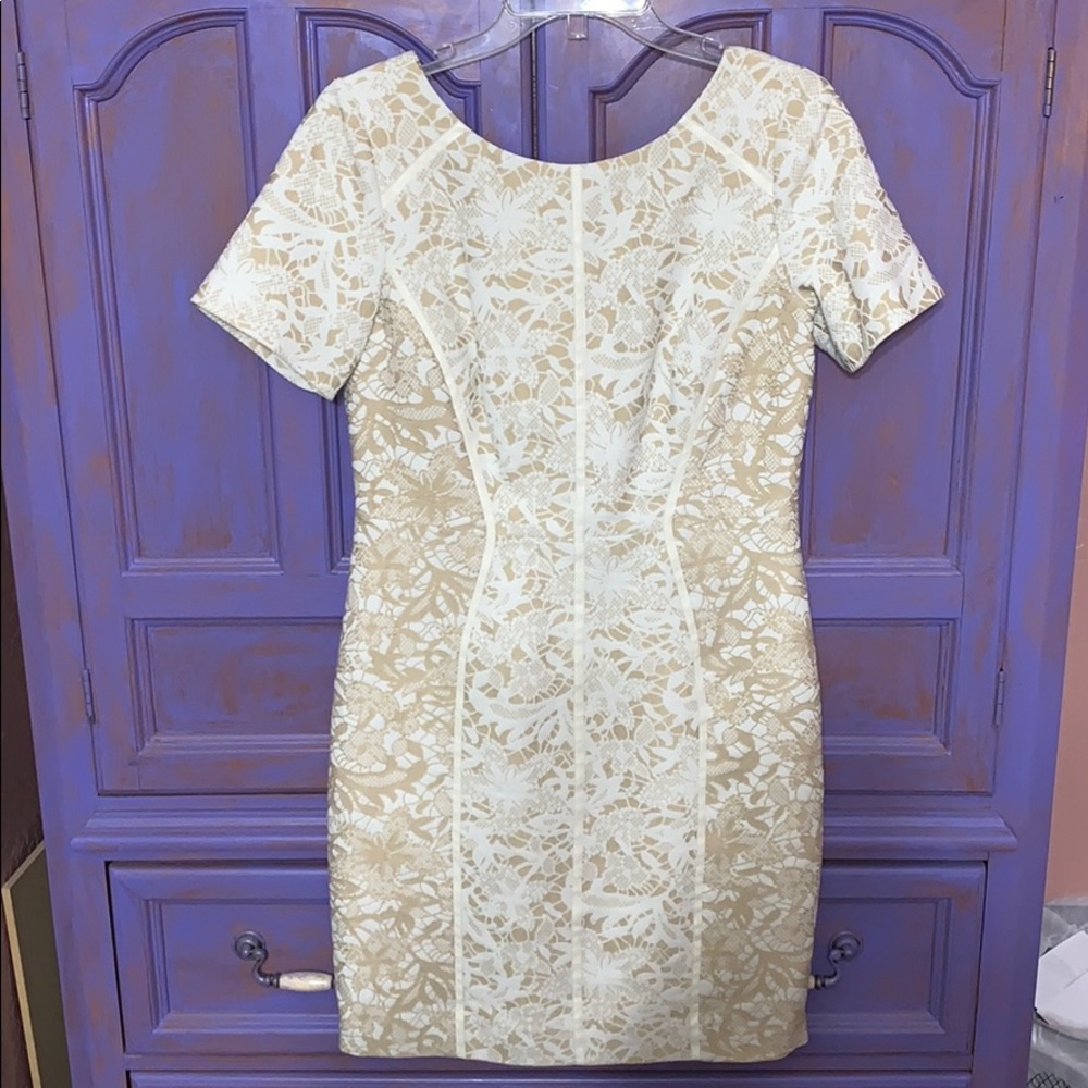 Gorgeous Antonio Melani Dress sz 8.